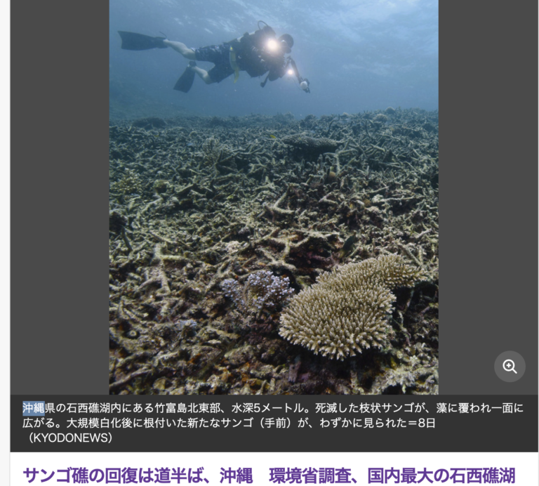サンゴ礁回復は道半ば、沖縄 環境省調査、国内最大の石西珊瑚 Be Kind OKINAWA｜沖縄SDGs情報発信メディア